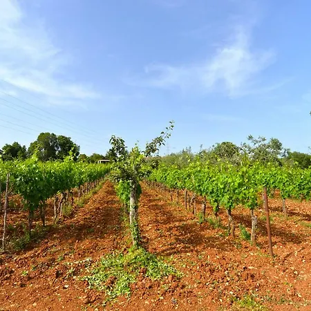 House Bruno 1735 Galižana