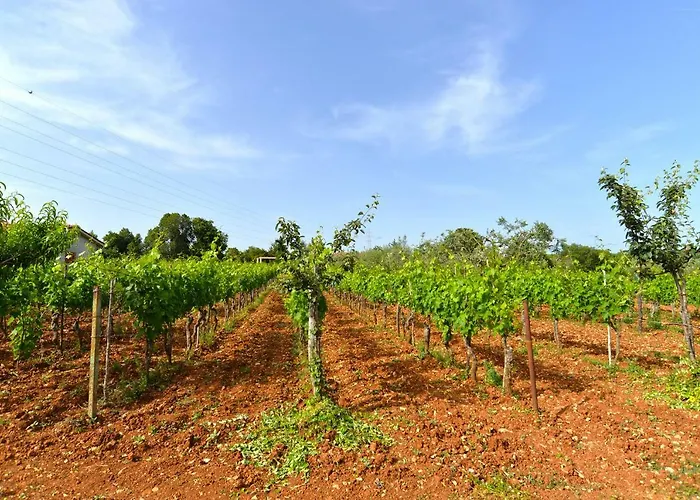 House Bruno 1735 Galizana